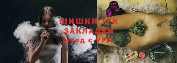 дживик Белокуриха
