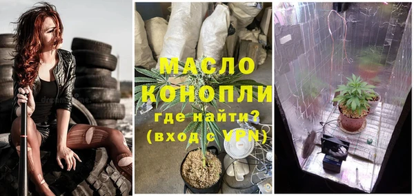 дживик Белокуриха