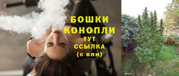 дживик Белокуриха