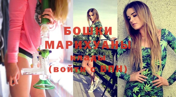 дживик Белокуриха