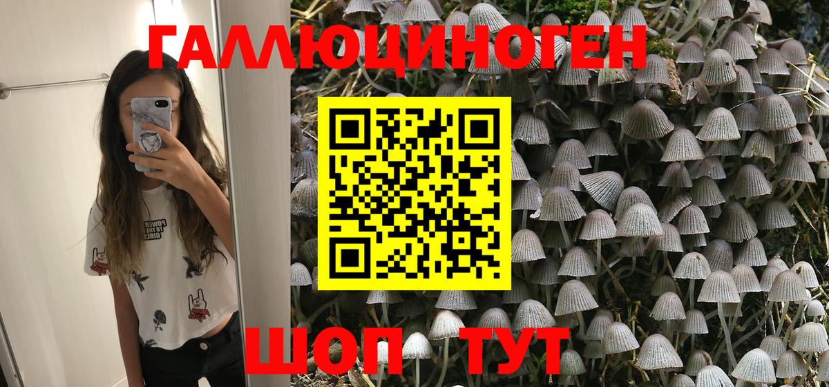Галлюциногенные грибы MAGIC MUSHROOMS Городец
